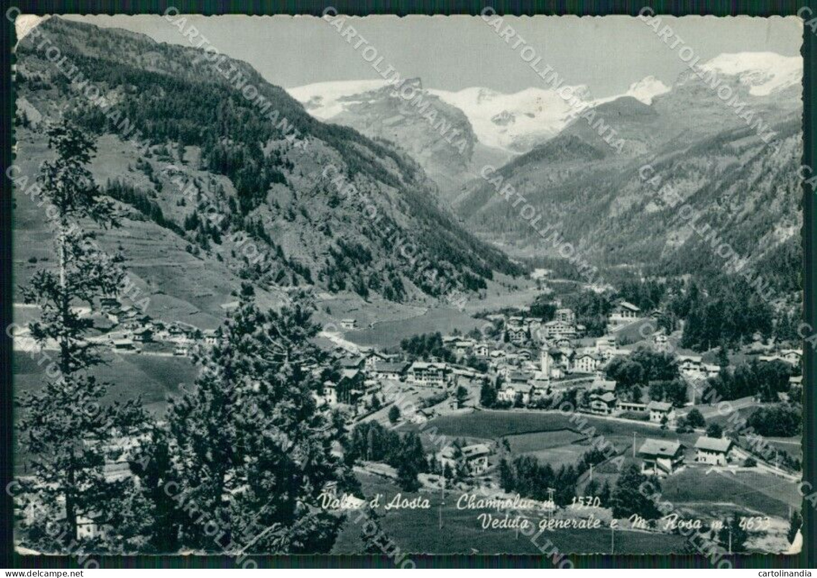 Aosta Ayas Champoluc Monte Rosa PIEGHINE Foto FG Cartolina KB1809 - Aosta