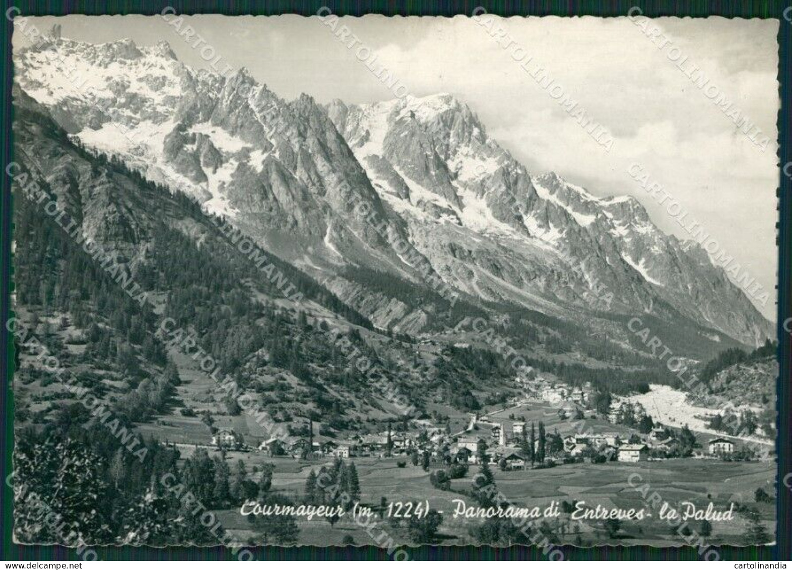 Aosta Courmayeur Entrèves La Palud Foto FG Cartolina KB1840 - Aosta