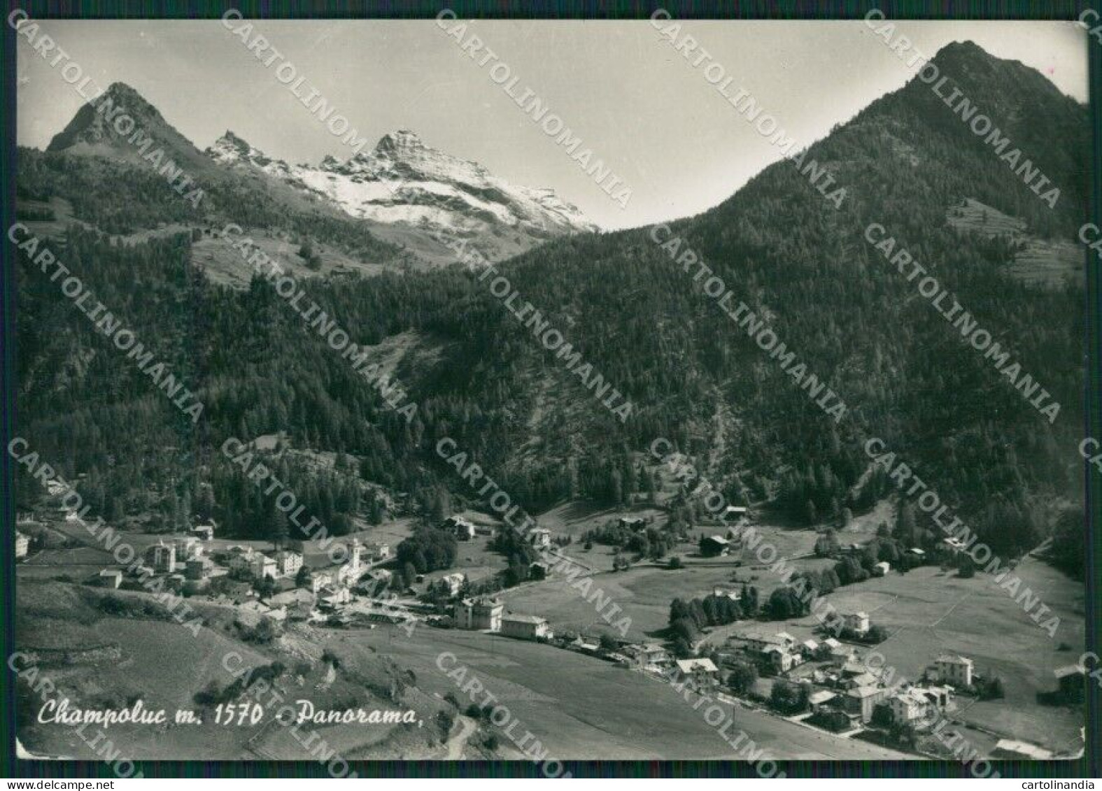 Aosta Ayas Champoluc Foto FG Cartolina KB1889 - Aosta