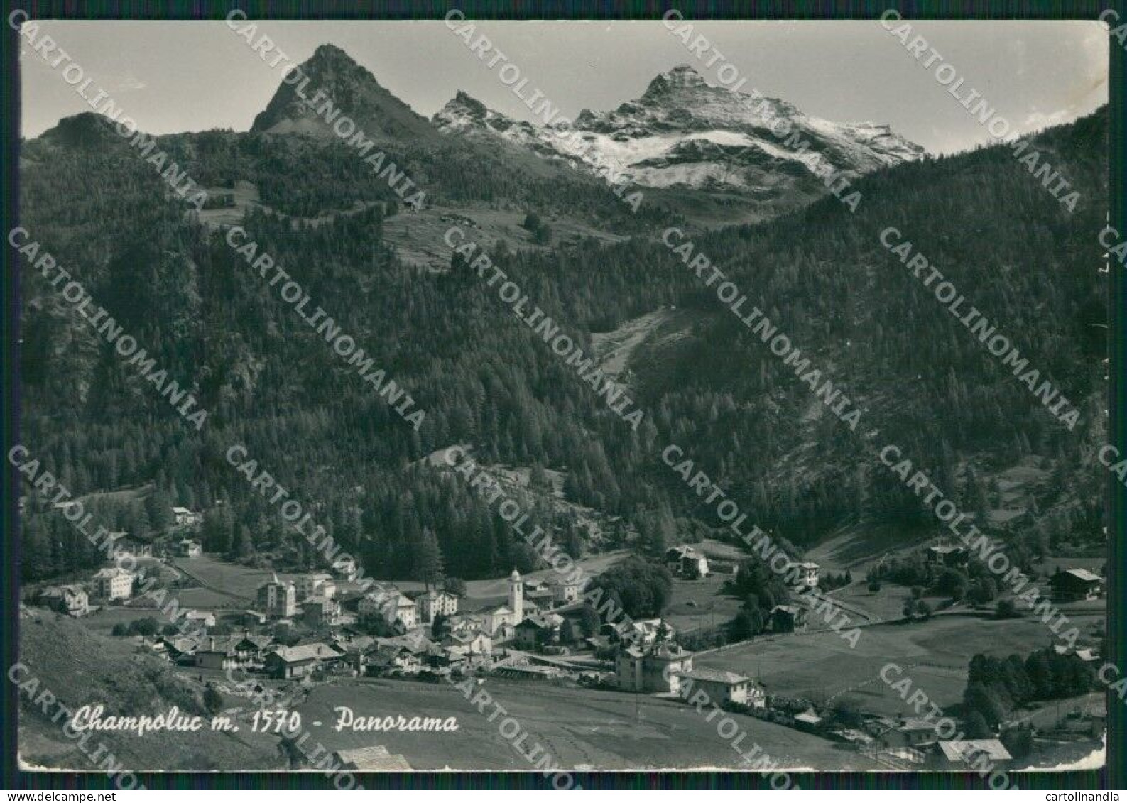 Aosta Ayas Champoluc PIEGA Foto FG Cartolina KB1894 - Aosta