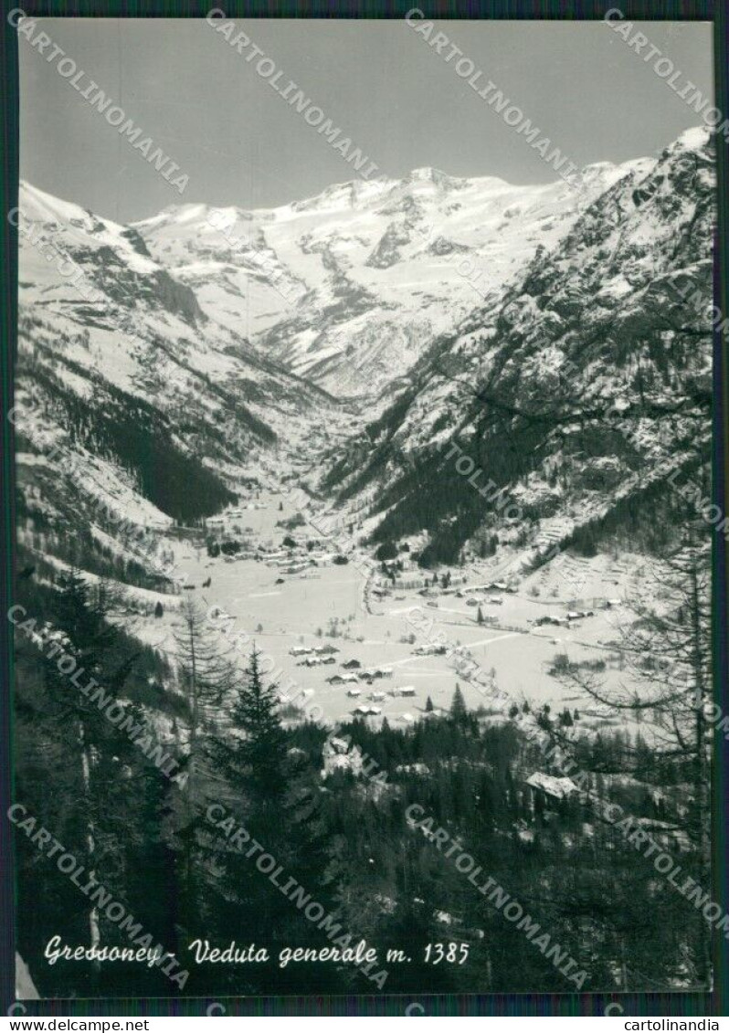 Aosta Gressoney Foto FG Cartolina KB1912 - Aosta