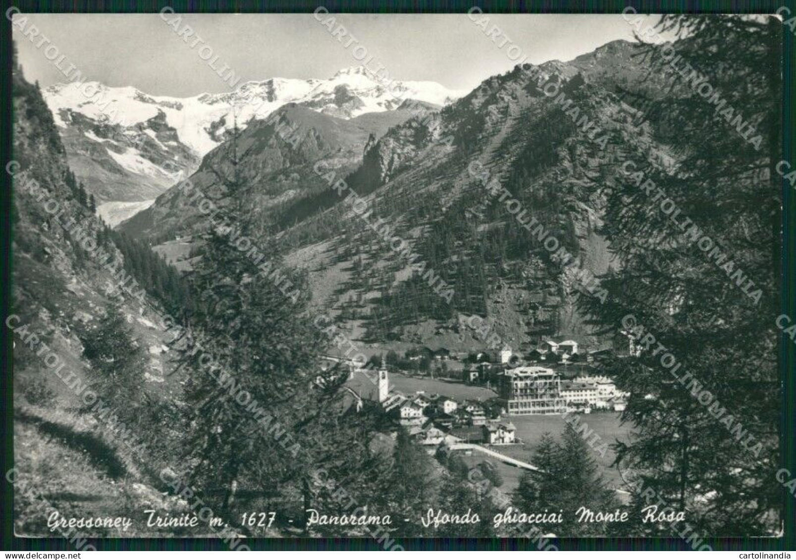 Aosta Gressoney La Trinitè Ghiacciai Monte Rosa Foto FG Cartolina KB1922 - Aosta