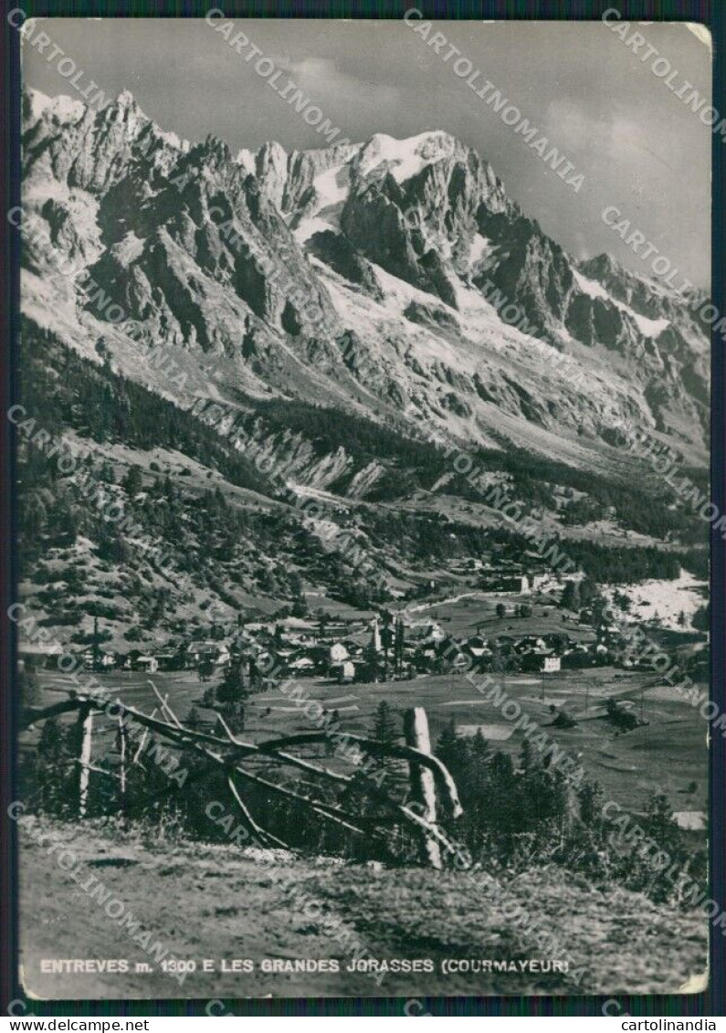 Aosta Courmayeur Entrèves PIEGHINE Foto FG Cartolina KB1953 - Aosta