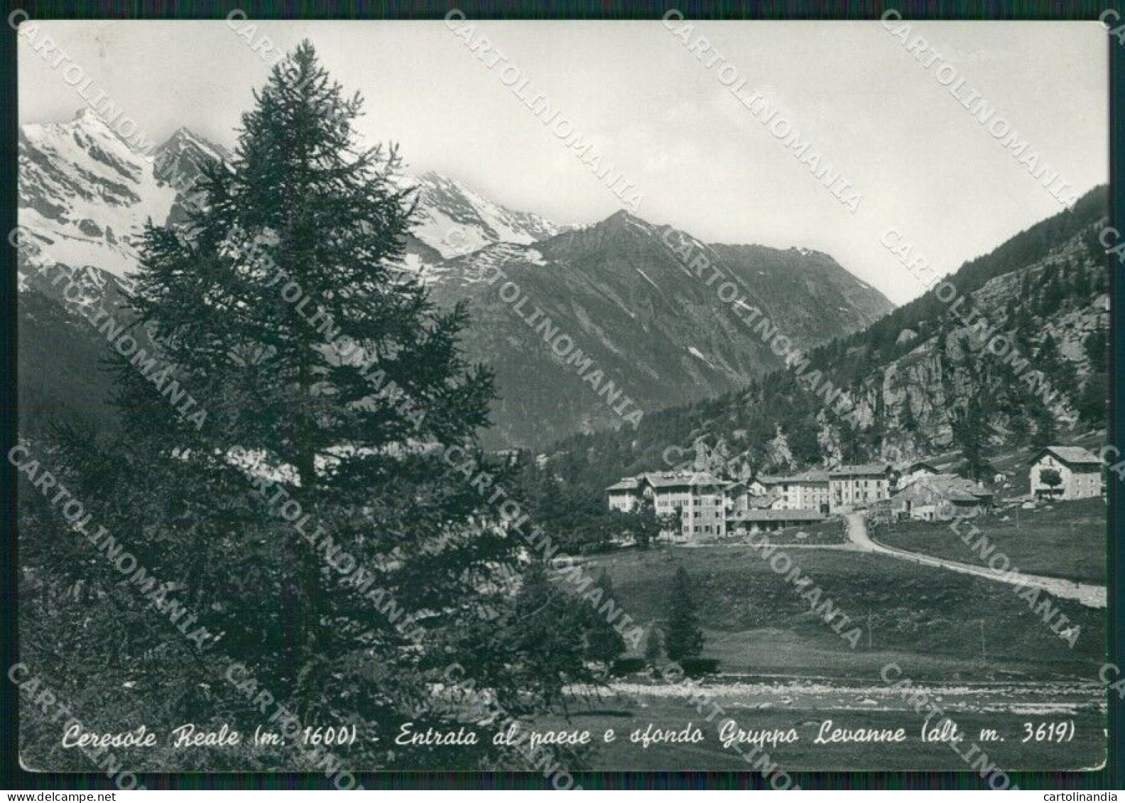 Torino Ceresole Reale Gruppo Levanne Foto FG Cartolina KB1988 - Sonstige & Ohne Zuordnung