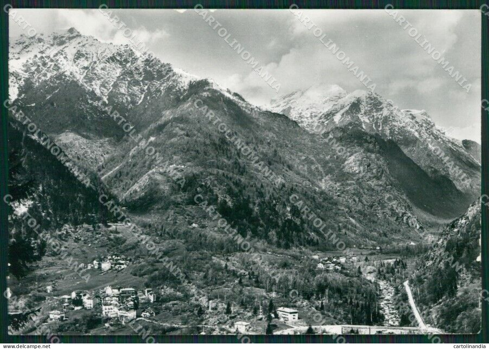 Torino Ronco Canavese Bosco Pinera Convento Foto FG Cartolina KB2144 - Sonstige & Ohne Zuordnung