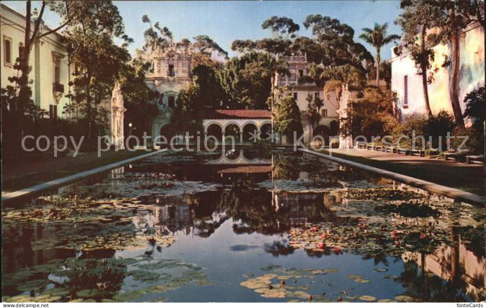 72461502 Balboa Lily Pond  - Other & Unclassified