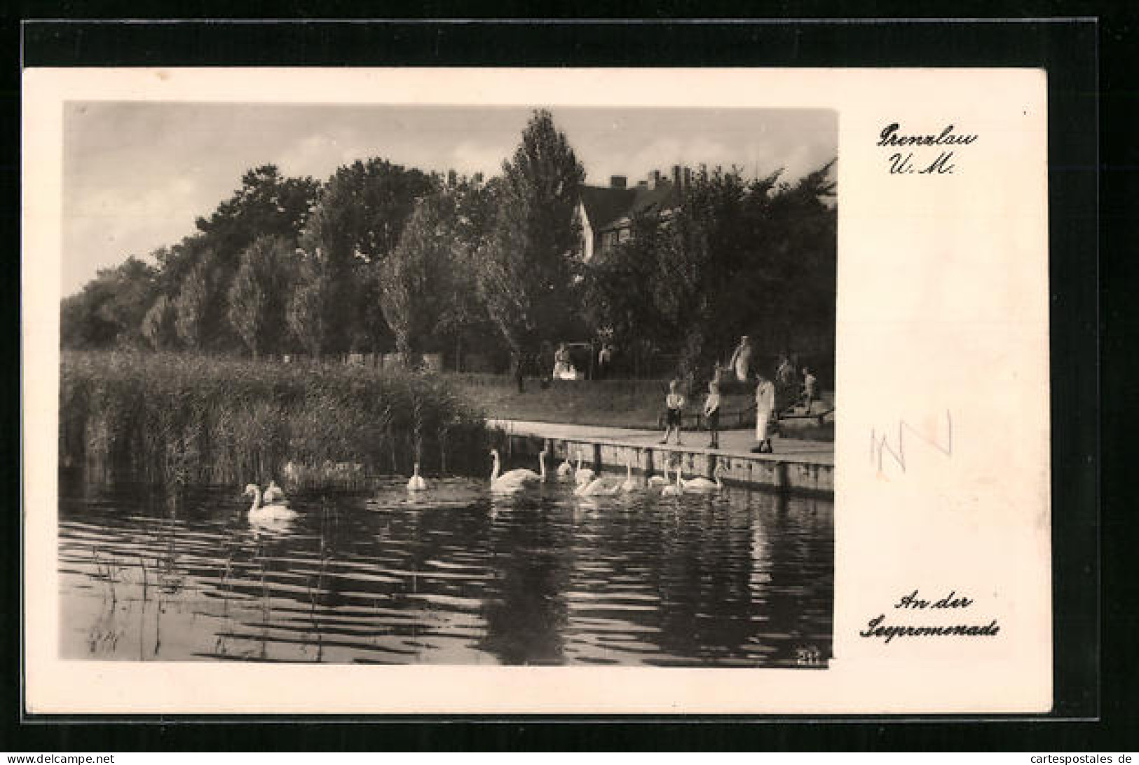 AK Prenzlau, An Der Seepromenade  - Prenzlau