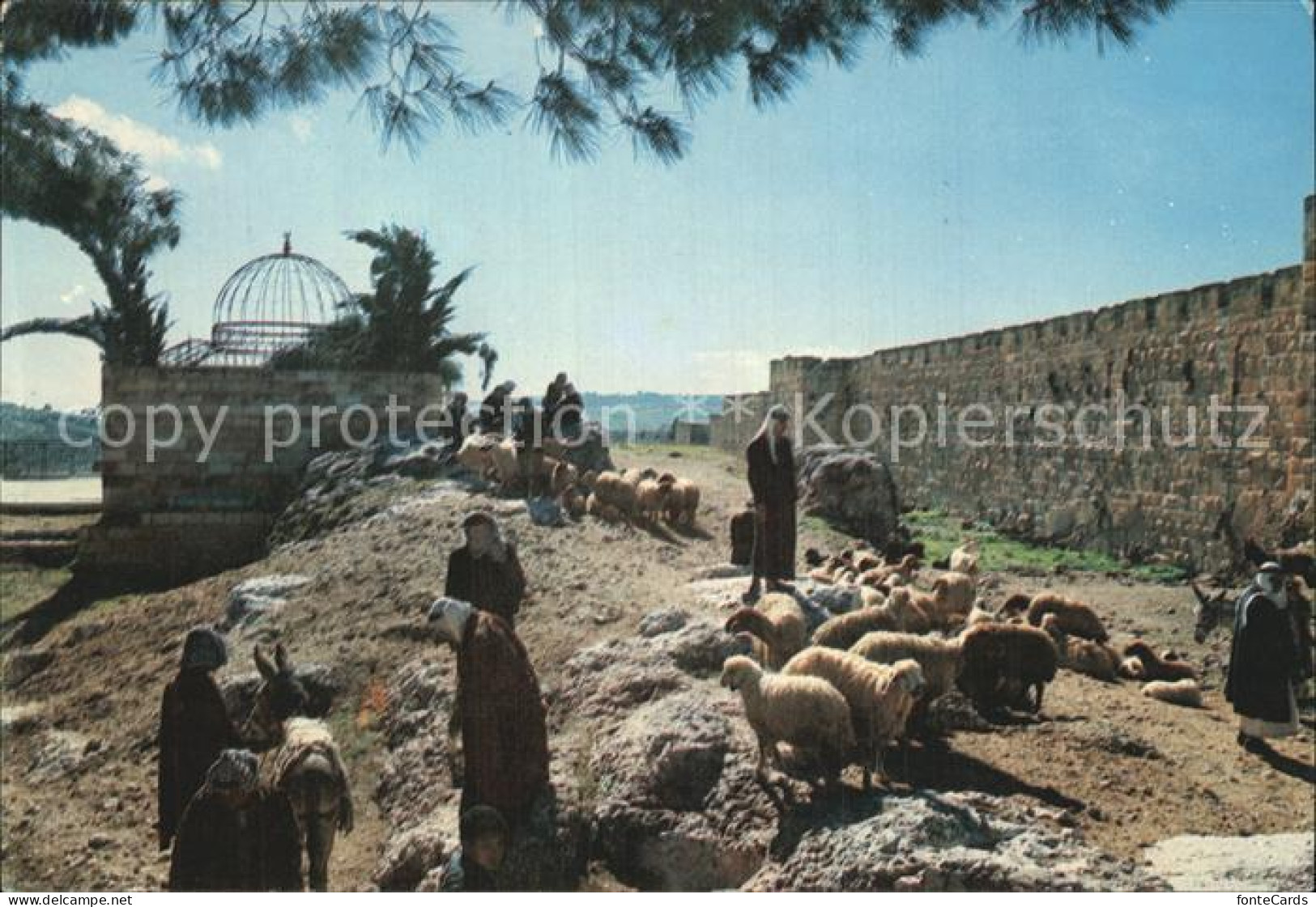 72461190 Jerusalem Yerushalayim Cattle Market  - Israel