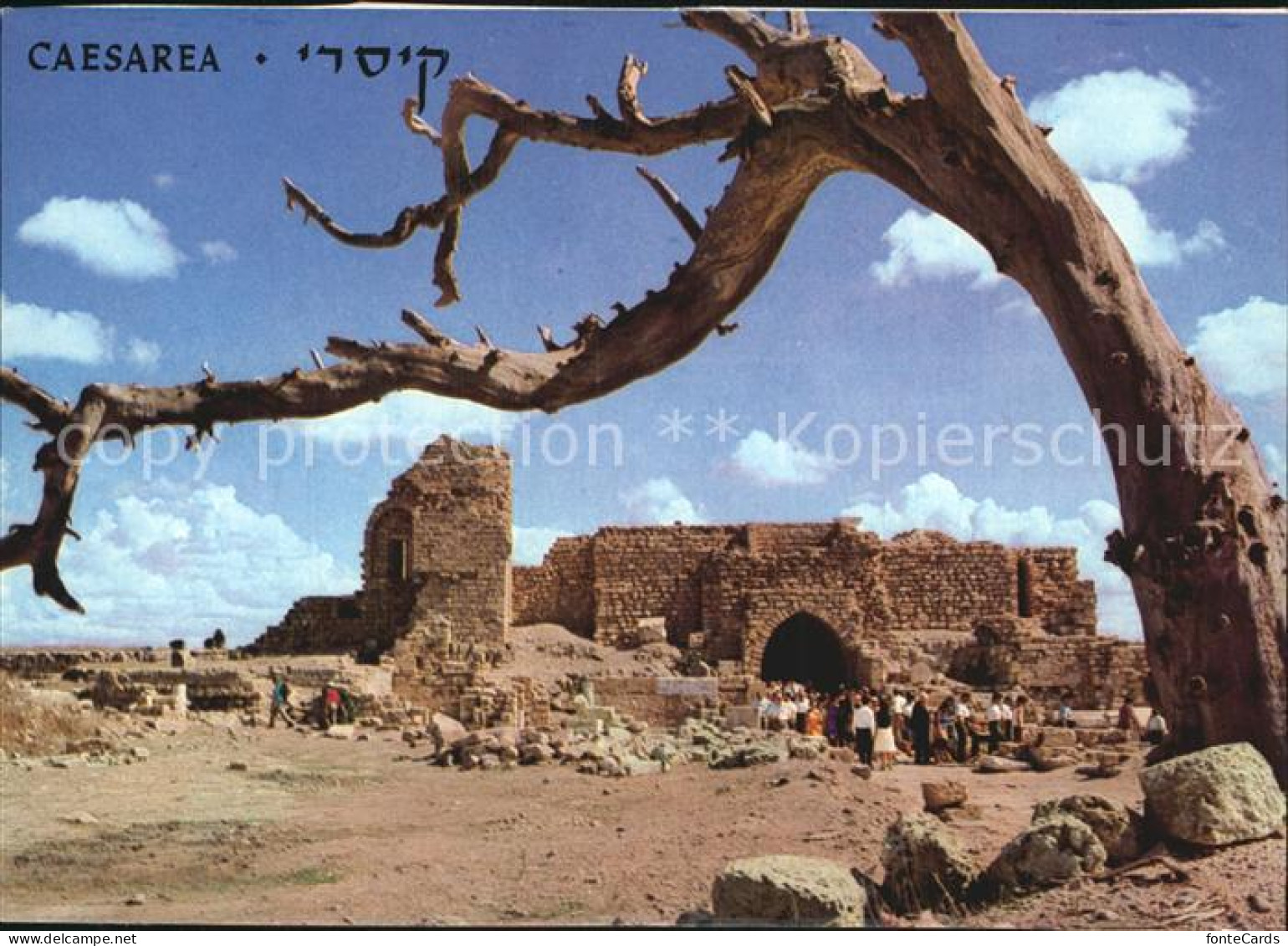 72460563 Caesarea Israel Ruine Caesarea Israel - Israel