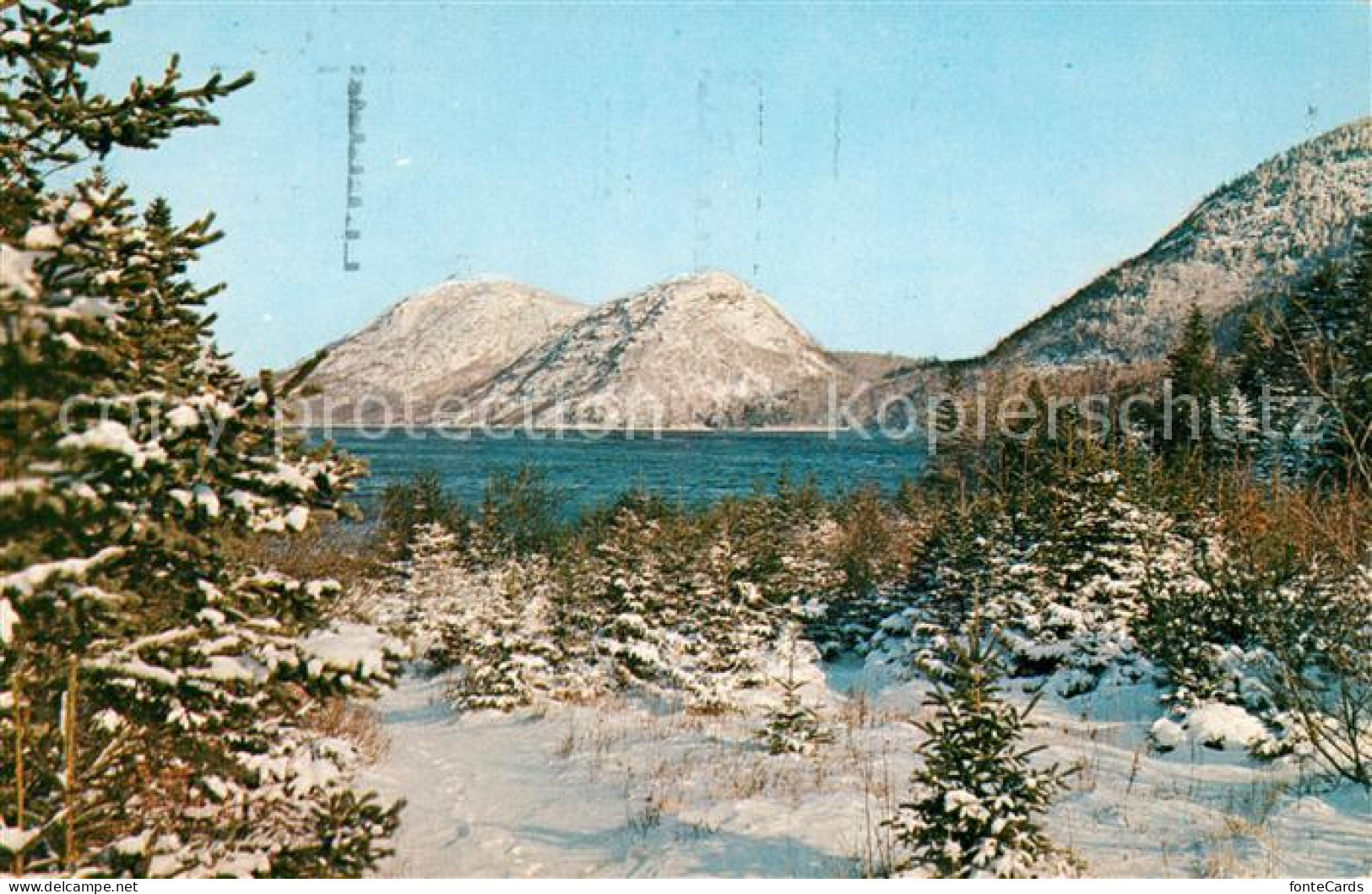 73059090 Maine_US-State Bubbles Pemetic Mt Seal Harbour Acadia National Park - Autres & Non Classés