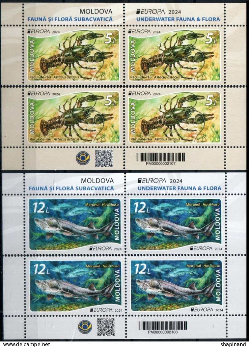 Moldova 2024 “Europe” Underwater Flora And Fauna. 4 Horizontal Pairs Of Stamps From 2v Zd Quality:100% - Moldavië