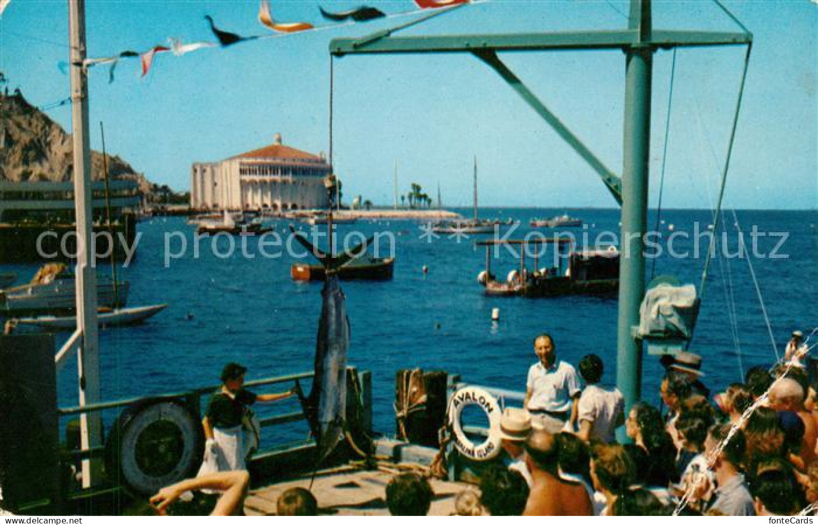 73059020 Avalon_California Marlin Swordfish On The Pleasure Pier - Altri & Non Classificati