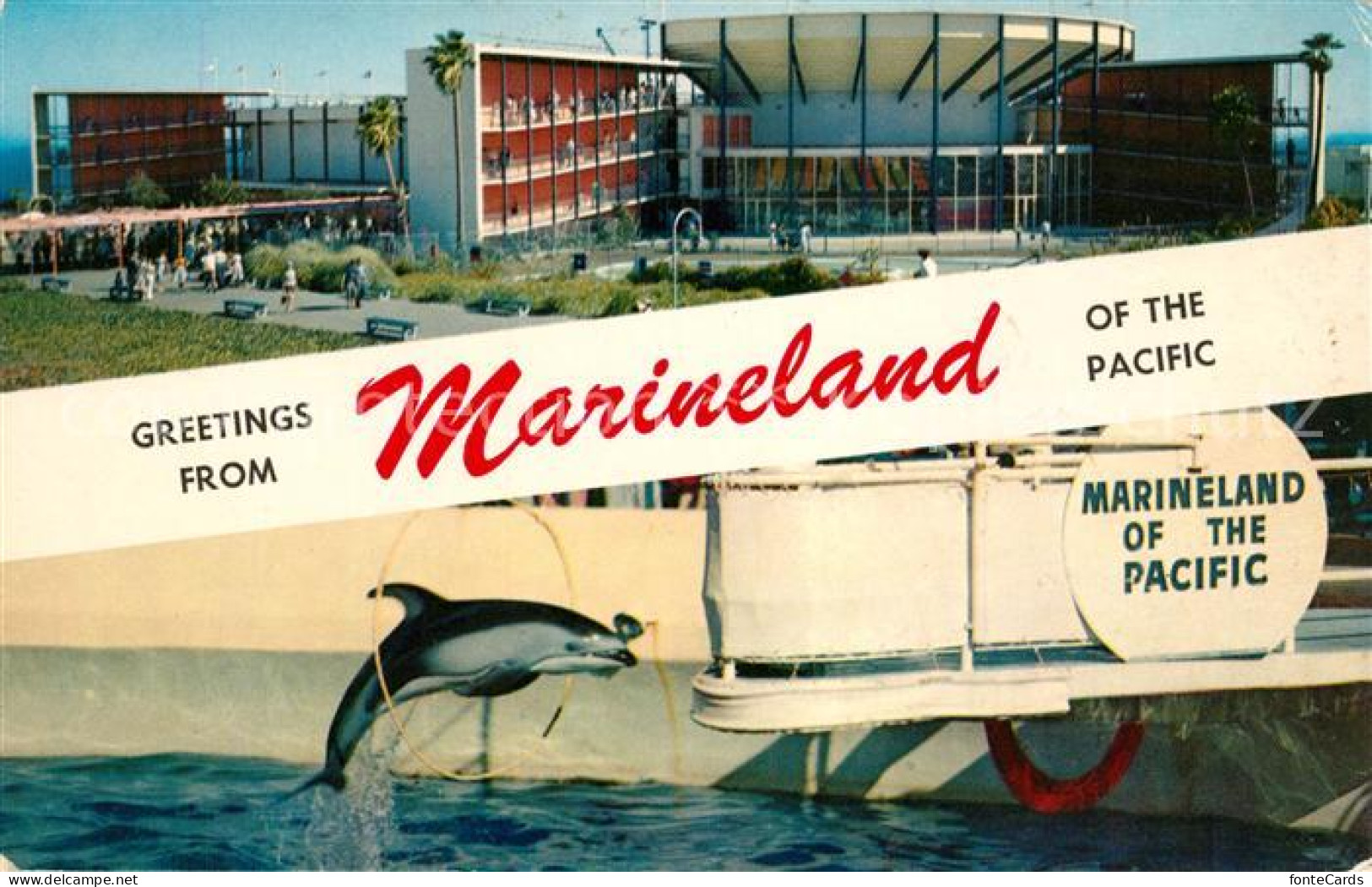 73059014 California_US-State Marineland Of The Pacific Ocenarium - Altri & Non Classificati