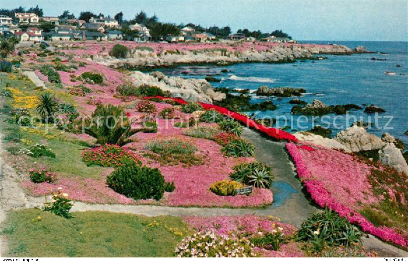 73051305 Monterey_California Lovers Point - Altri & Non Classificati