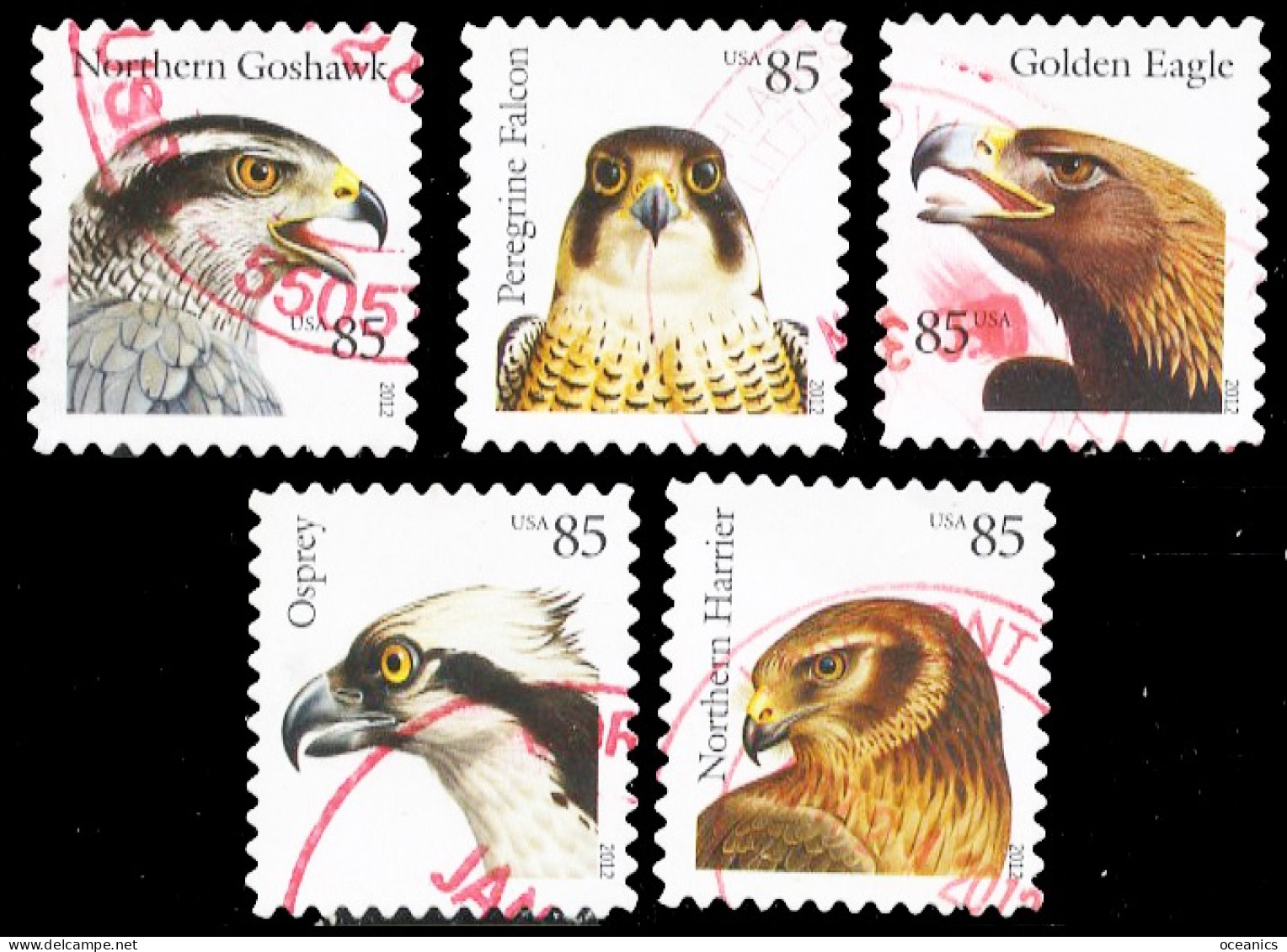 Etats-Unis / United States (Scott No.4608-12 - Oiseaux De Proie / Birds Of Prey)  (o) Set Of 5 - Usados