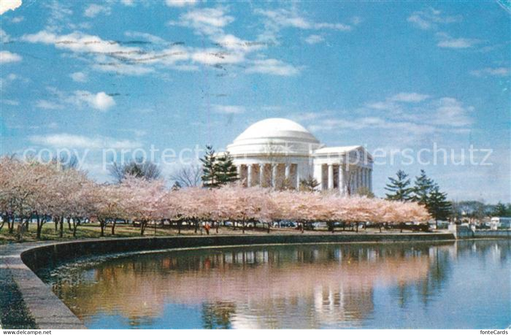 73029034 Washington DC Jefferson Memorial  - Washington DC