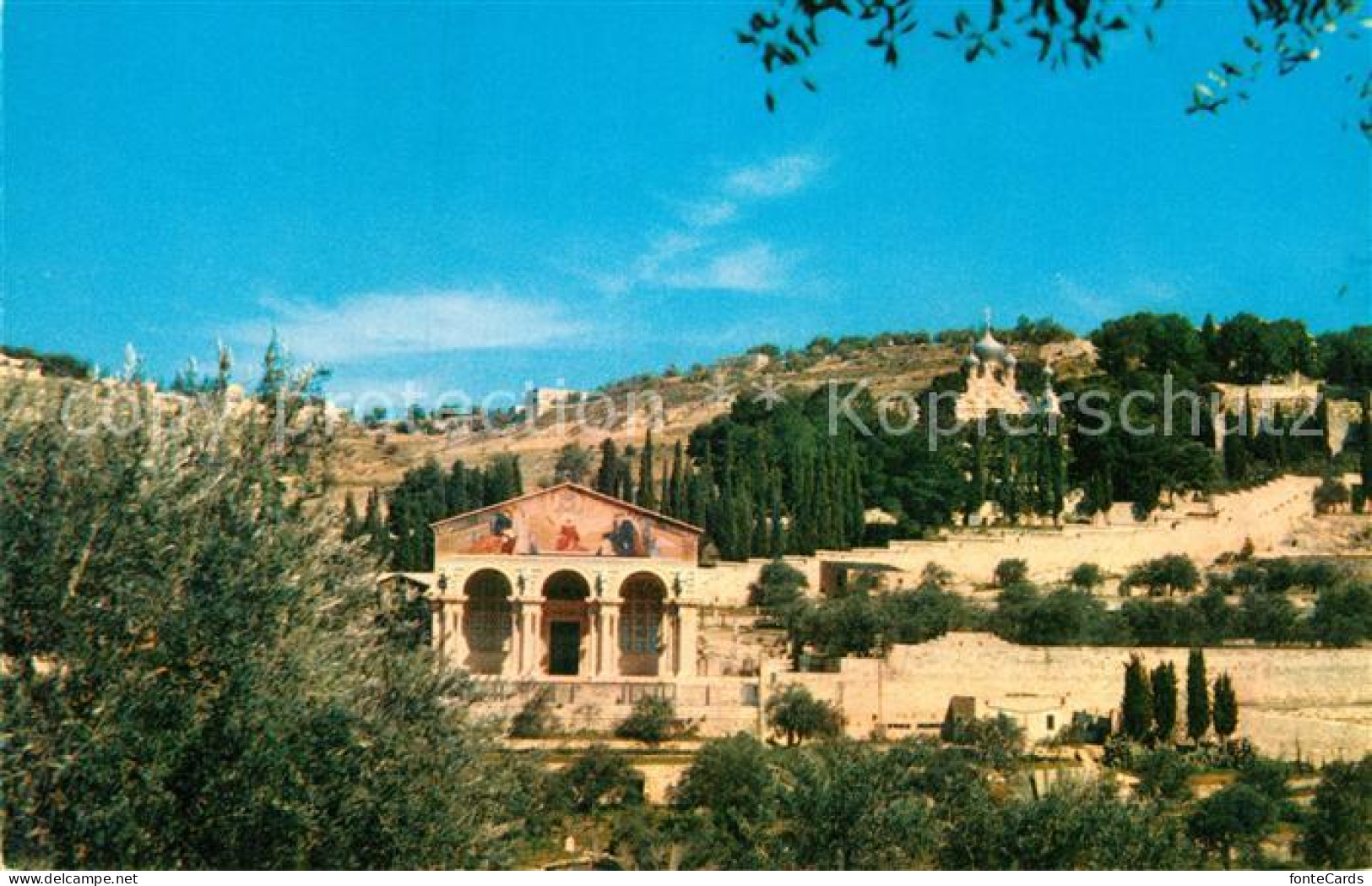 73021321 Jerusalem Yerushalayim Basilica Agony Garden Gethsemane Jerusalem Yerus - Israel