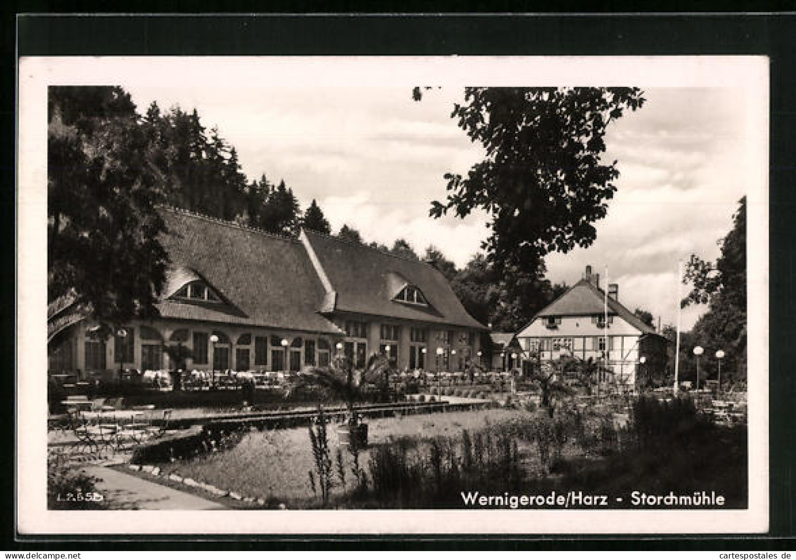 AK Wernigerode /Harz, Storchmühle  - Wernigerode