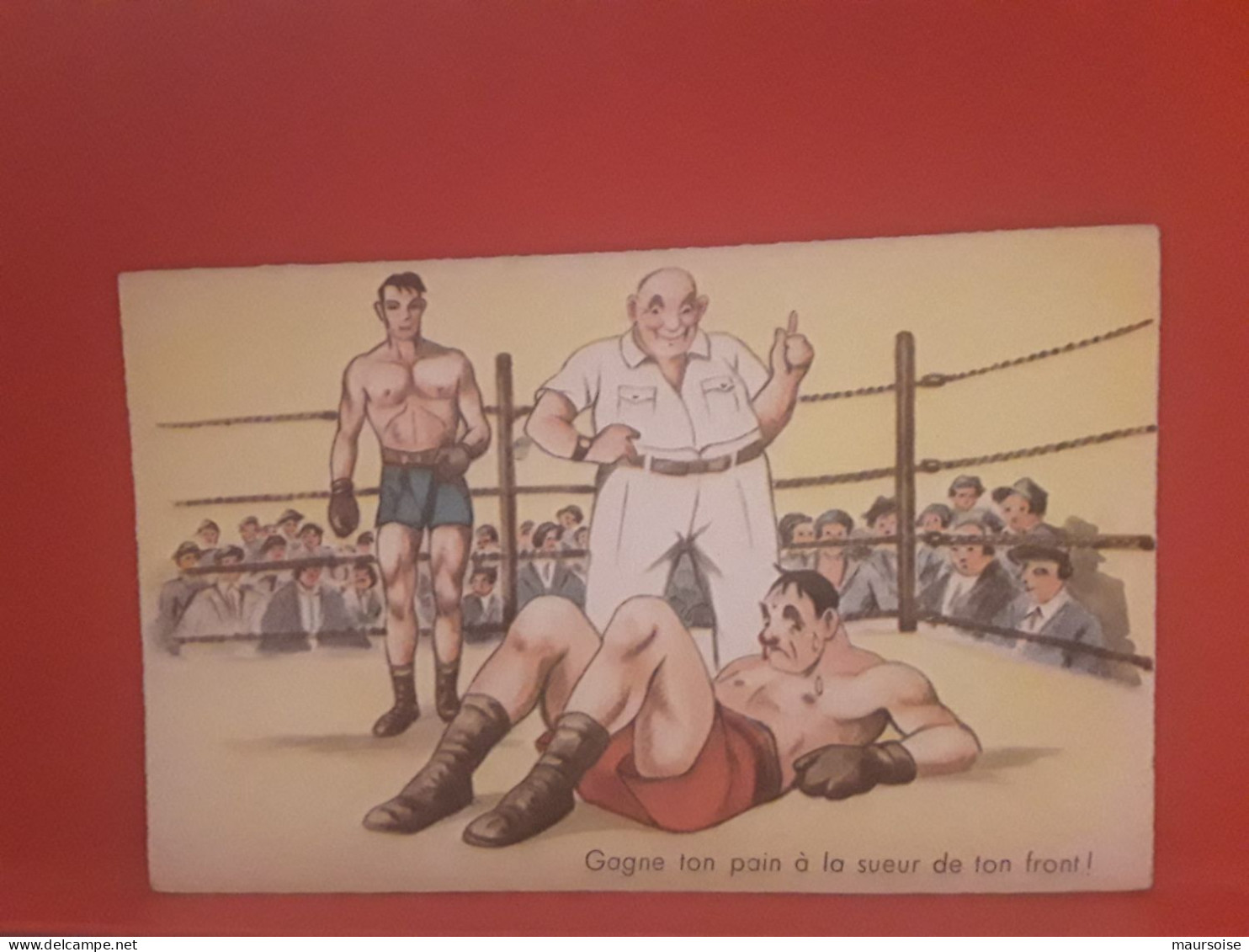 Boxe - Humour