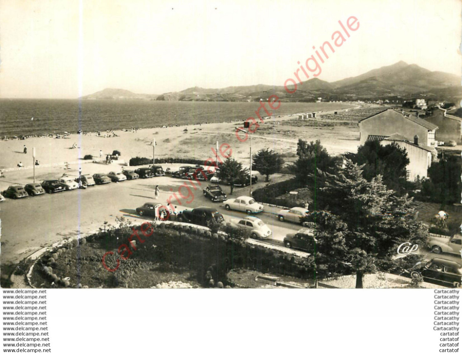 66.  ARGELES SUR MER .  Vue Générale De La Plage . - Argeles Sur Mer