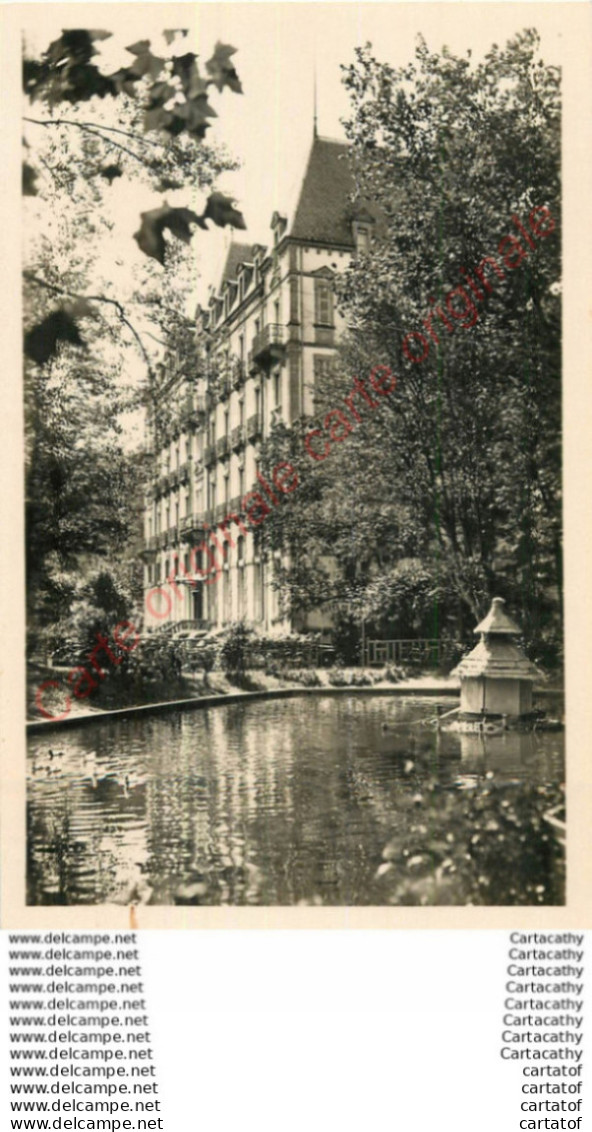 63.  SAINT NECTAIRE .  Hôtel Du Parc . - Saint Nectaire