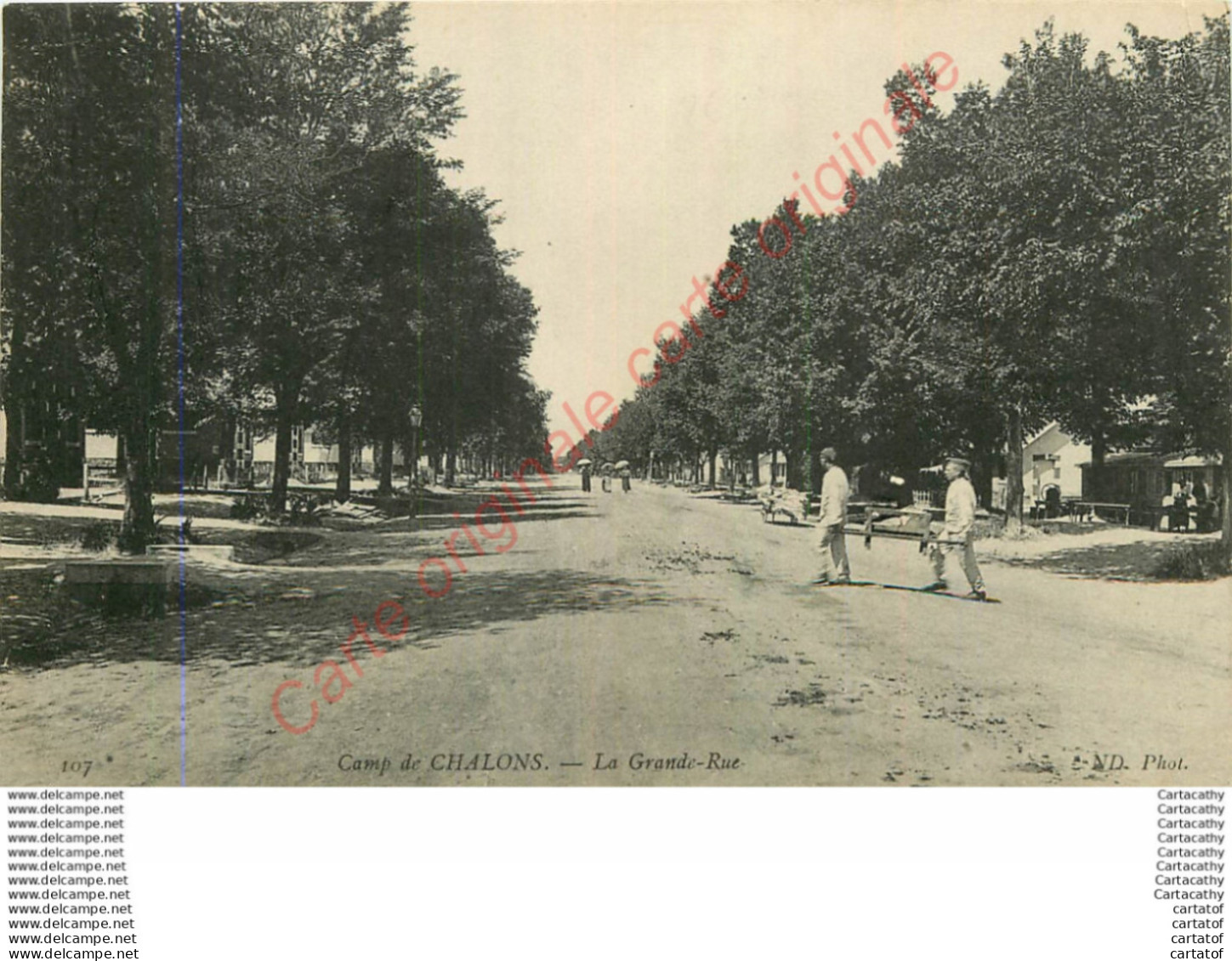 51.  CAMP DE CHALONS .  La Grande Rue . - Camp De Châlons - Mourmelon