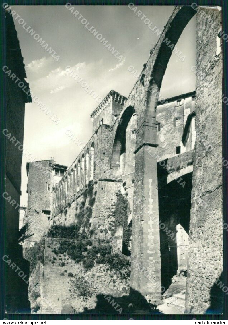 Grosseto Pitigliano Acquedotto Mediceo Foto FG Cartolina KV8032 - Grosseto