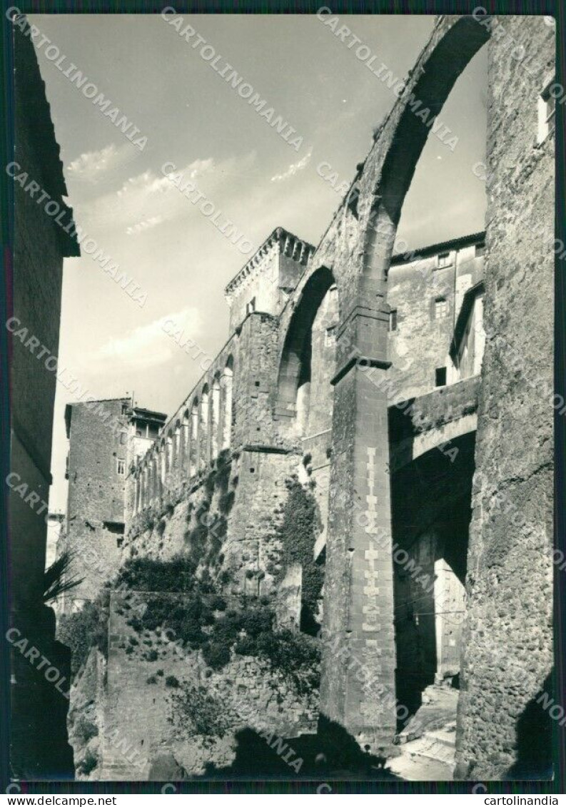 Grosseto Pitigliano Foto FG Cartolina KV8025 - Grosseto