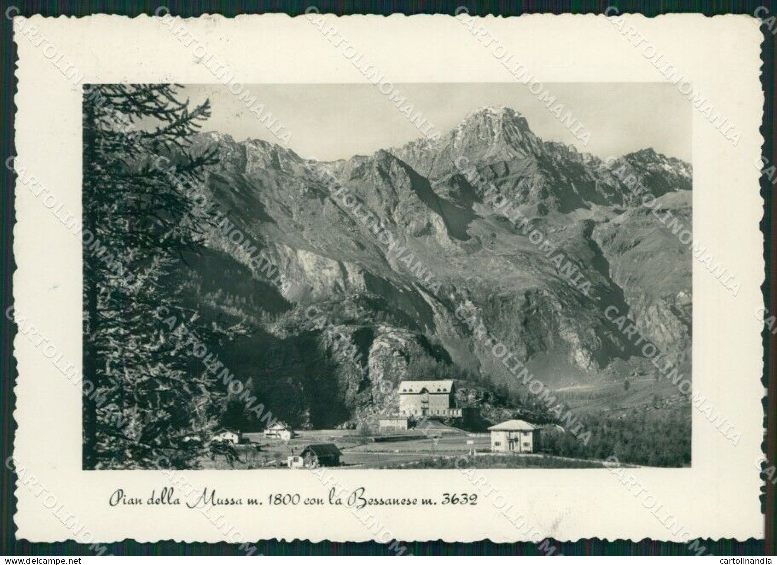 Torino Balme Pian Della Mussa Foto FG Cartolina KV8041 - Sonstige & Ohne Zuordnung