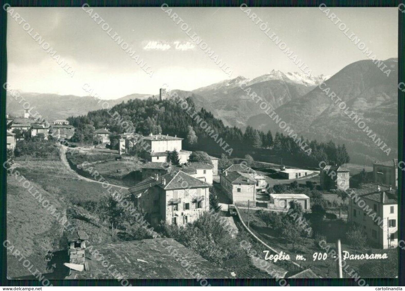 Sondrio Teglio Foto FG Cartolina KV8111 - Sondrio