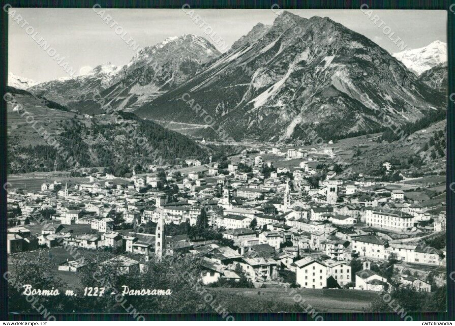 Sondrio Bormio Foto FG Cartolina KV8118 - Sondrio