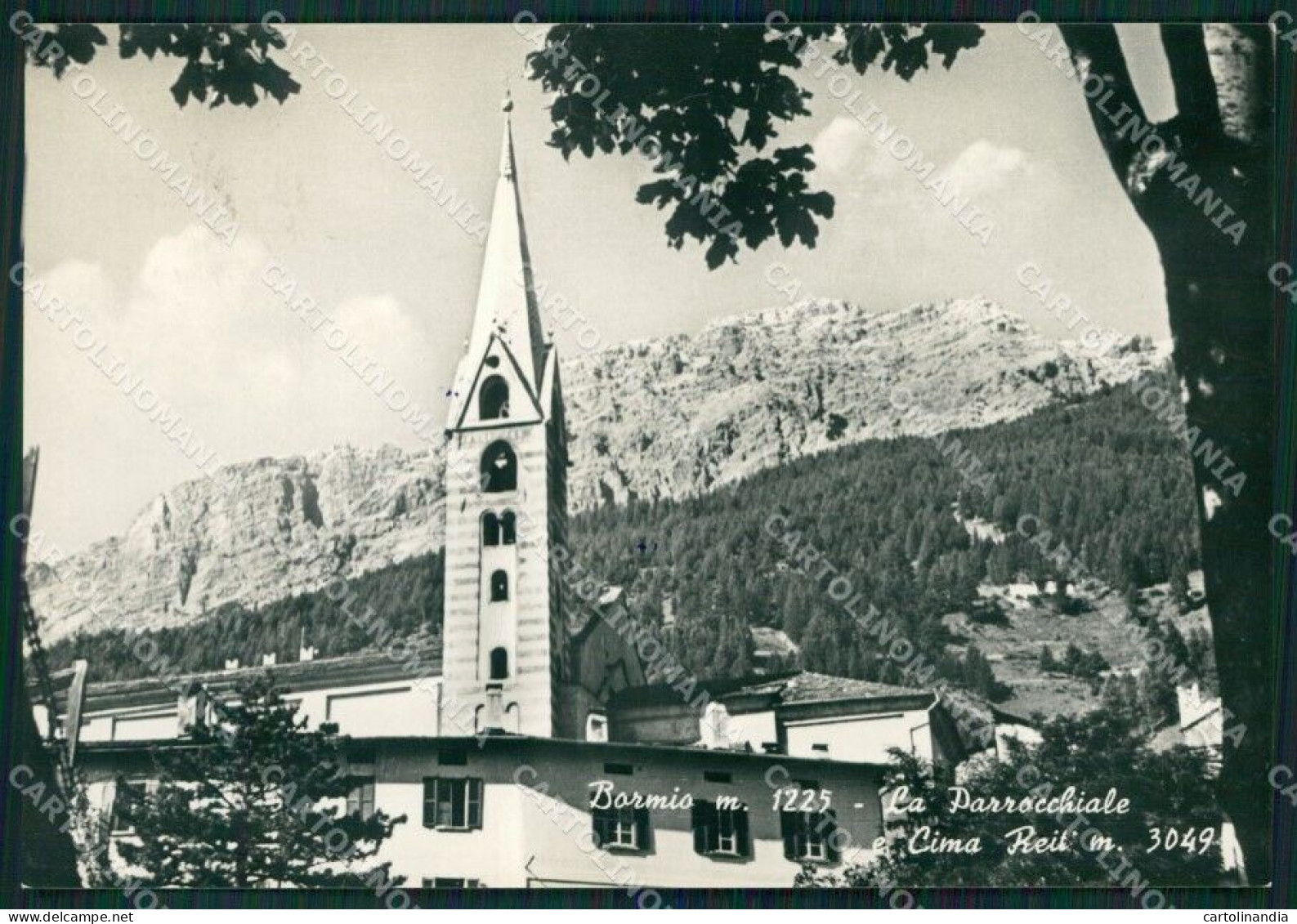 Sondrio Bormio Foto FG Cartolina KV8123 - Sondrio