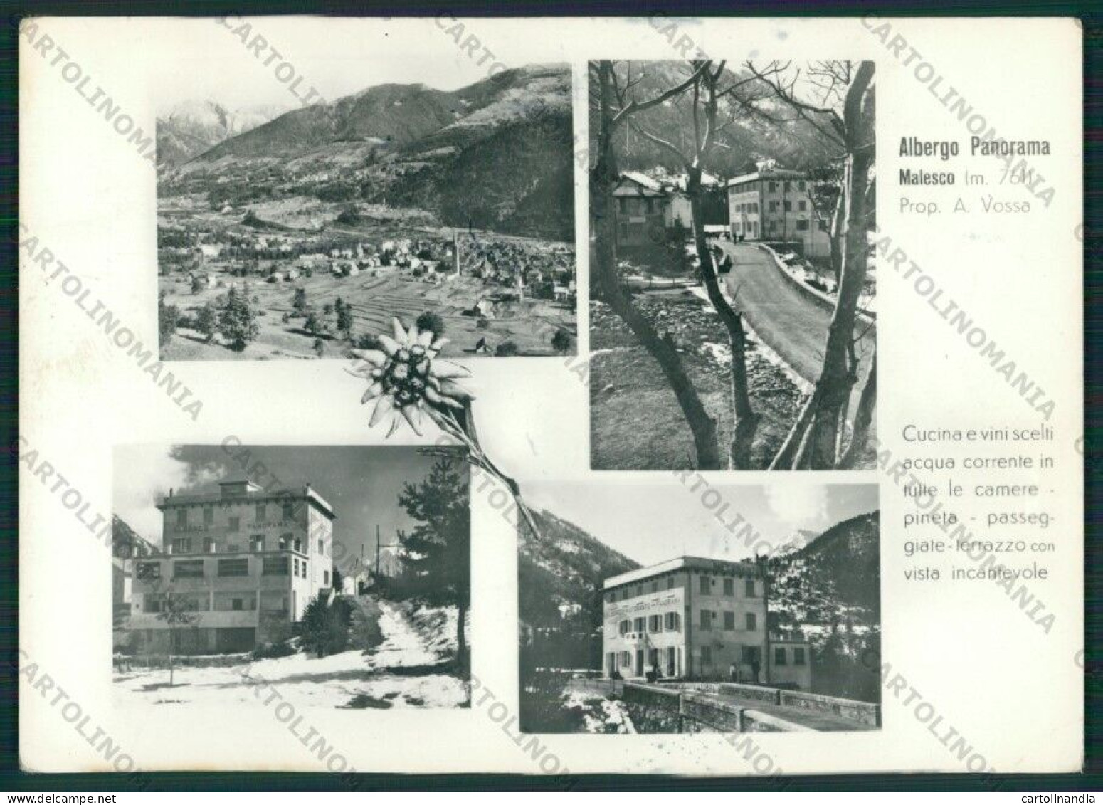 Verbania Malesco PIEGHINA Foto FG Cartolina KV8189 - Verbania