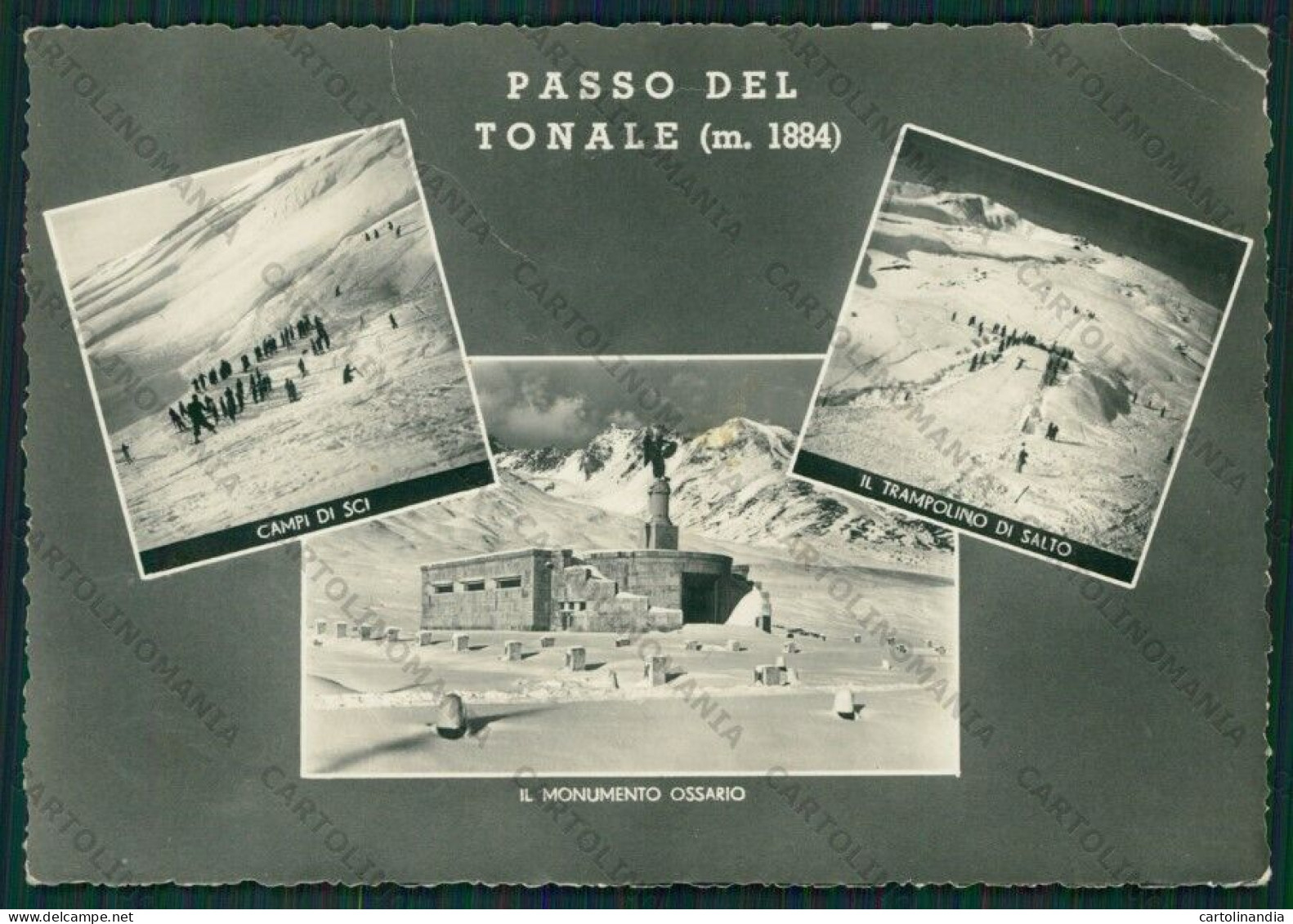Trento Passo Del Tonale Sci PIEGHINE Foto FG Cartolina KV8280 - Trento