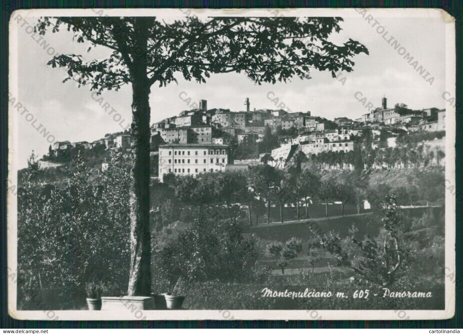 Siena Montepulciano Foto FG Cartolina KV8298 - Siena