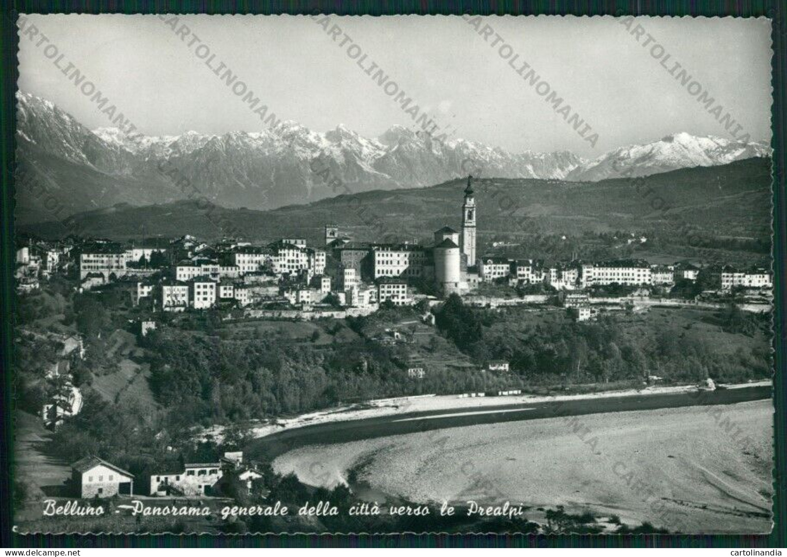 Belluno Città Foto FG Cartolina KV8344 - Belluno