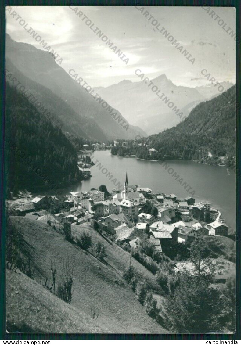 Belluno Alleghe Lago Di Foto FG Cartolina KV8471 - Belluno