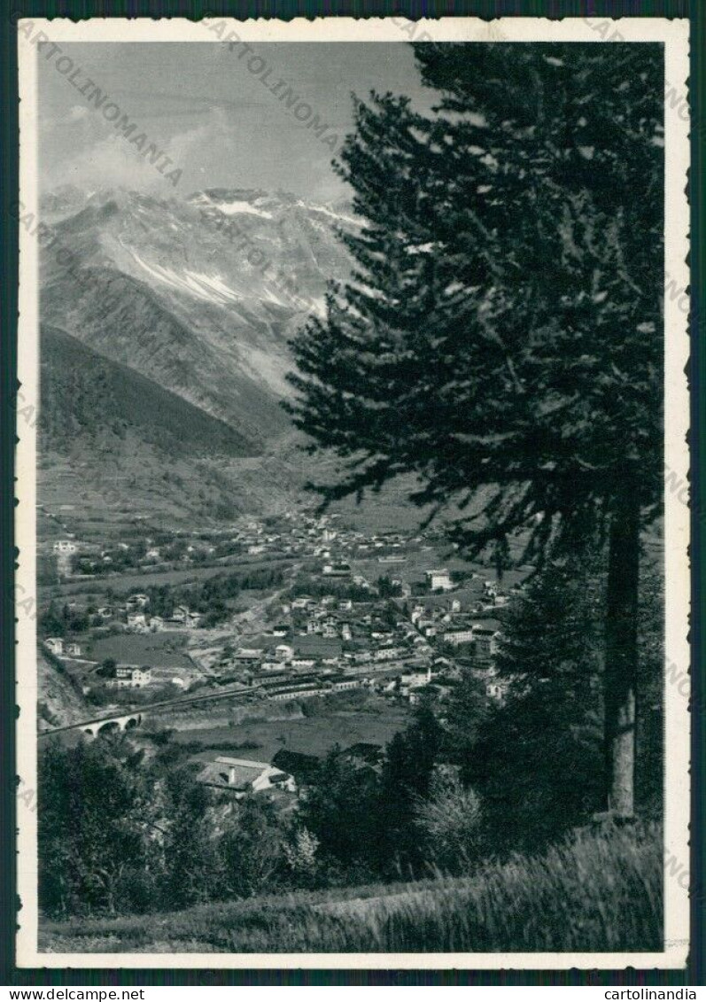 Torino Bardonecchia Foto FG Cartolina KV8610 - Sonstige & Ohne Zuordnung