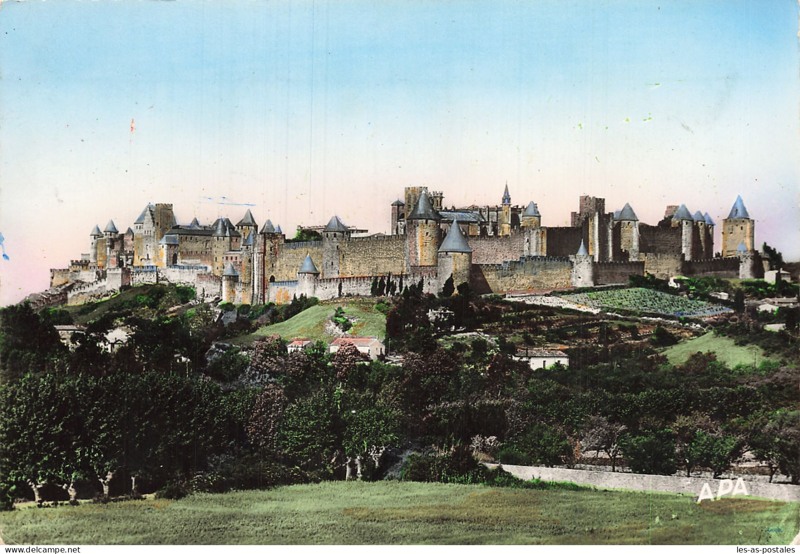 11  CARCASSONNE LA CITE VUE DE L AUDE  - Carcassonne