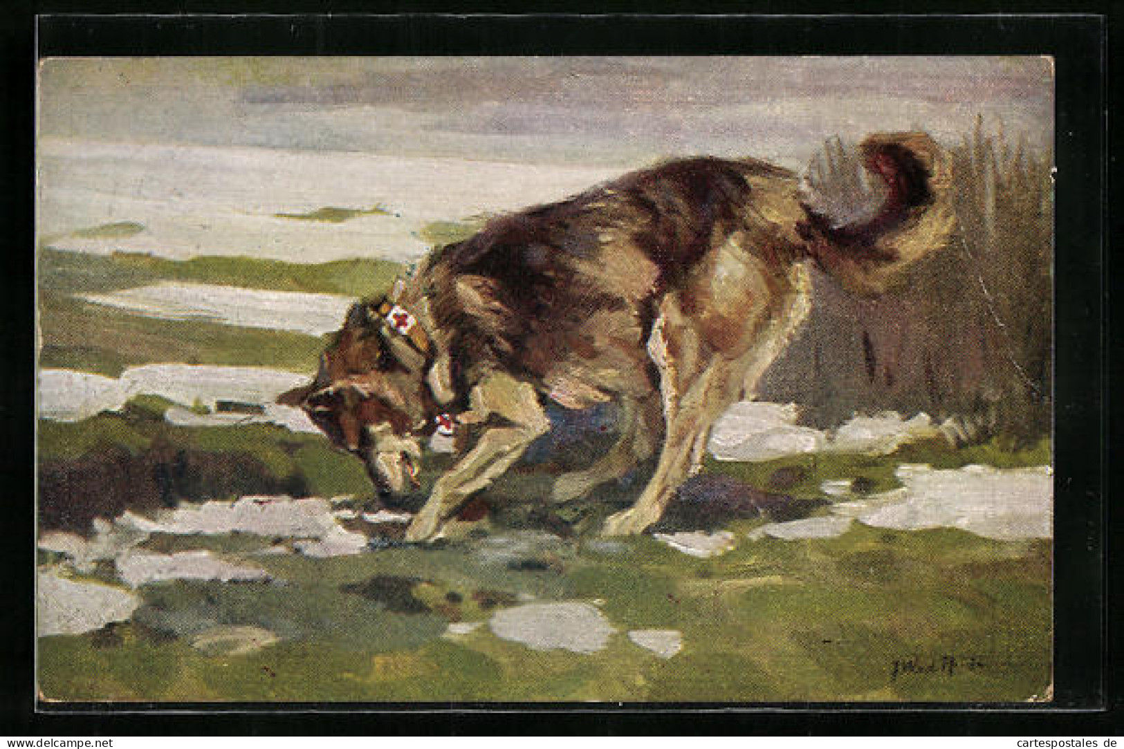 Künstler-AK Sanitätshund Auf Der Spur Eines Verwundeten Soldaten  - Dogs