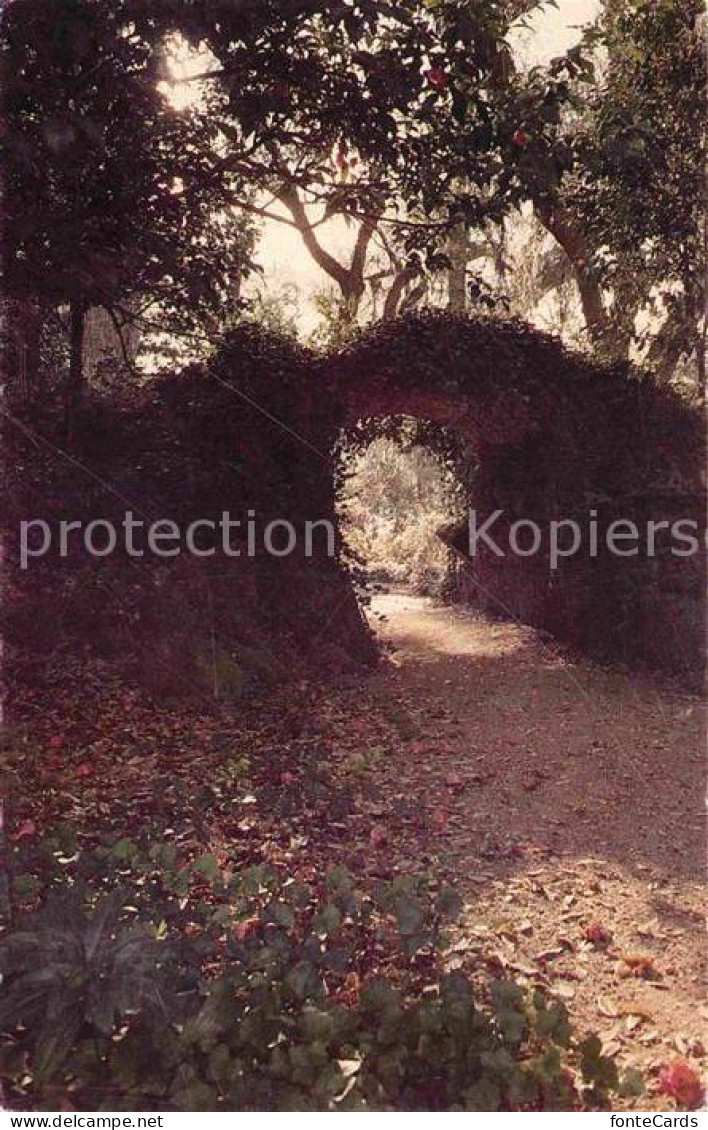 72766213 Louisiana_US-State Rockery In The Gardens Of Rosdown - Altri & Non Classificati