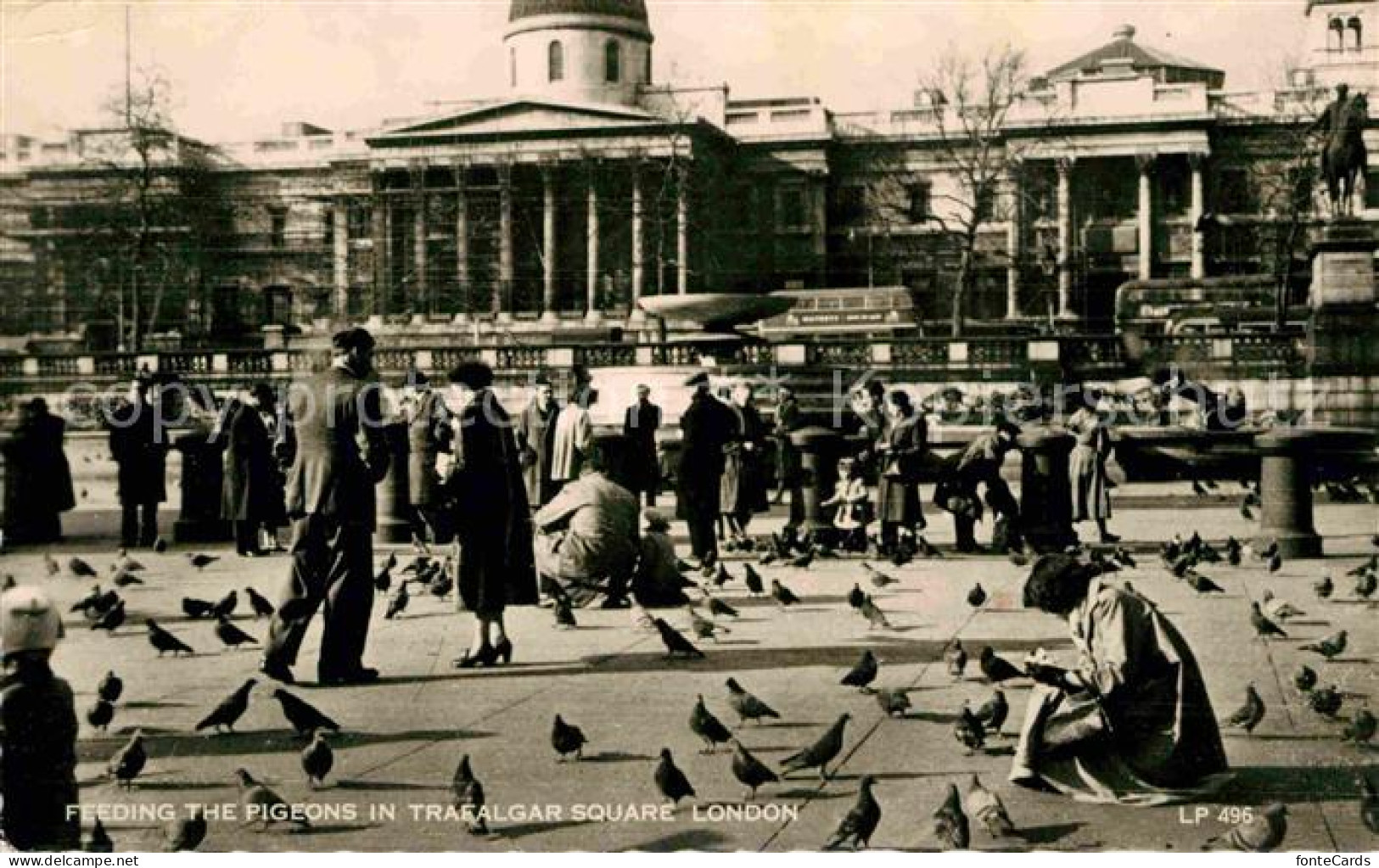 72763398 London Feeding The Pigeons In Trafalgar Square - Autres & Non Classés