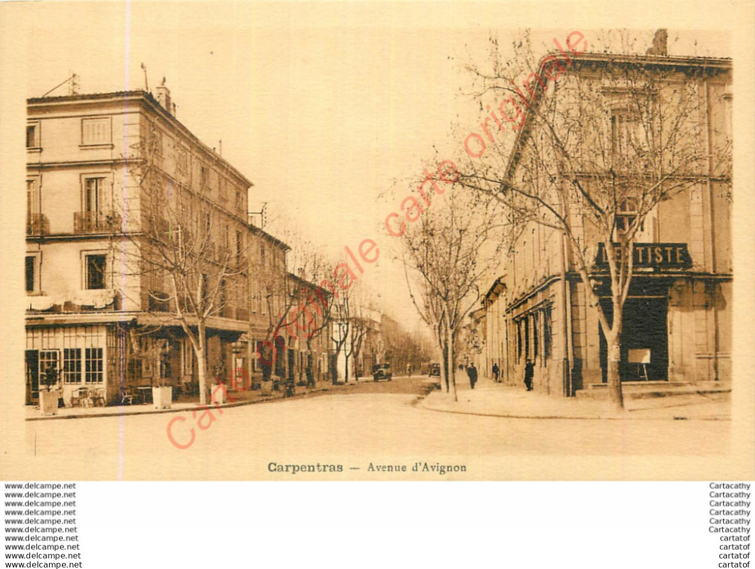 84.  CARPENTRAS .  Avenue D'Avignon . - Carpentras