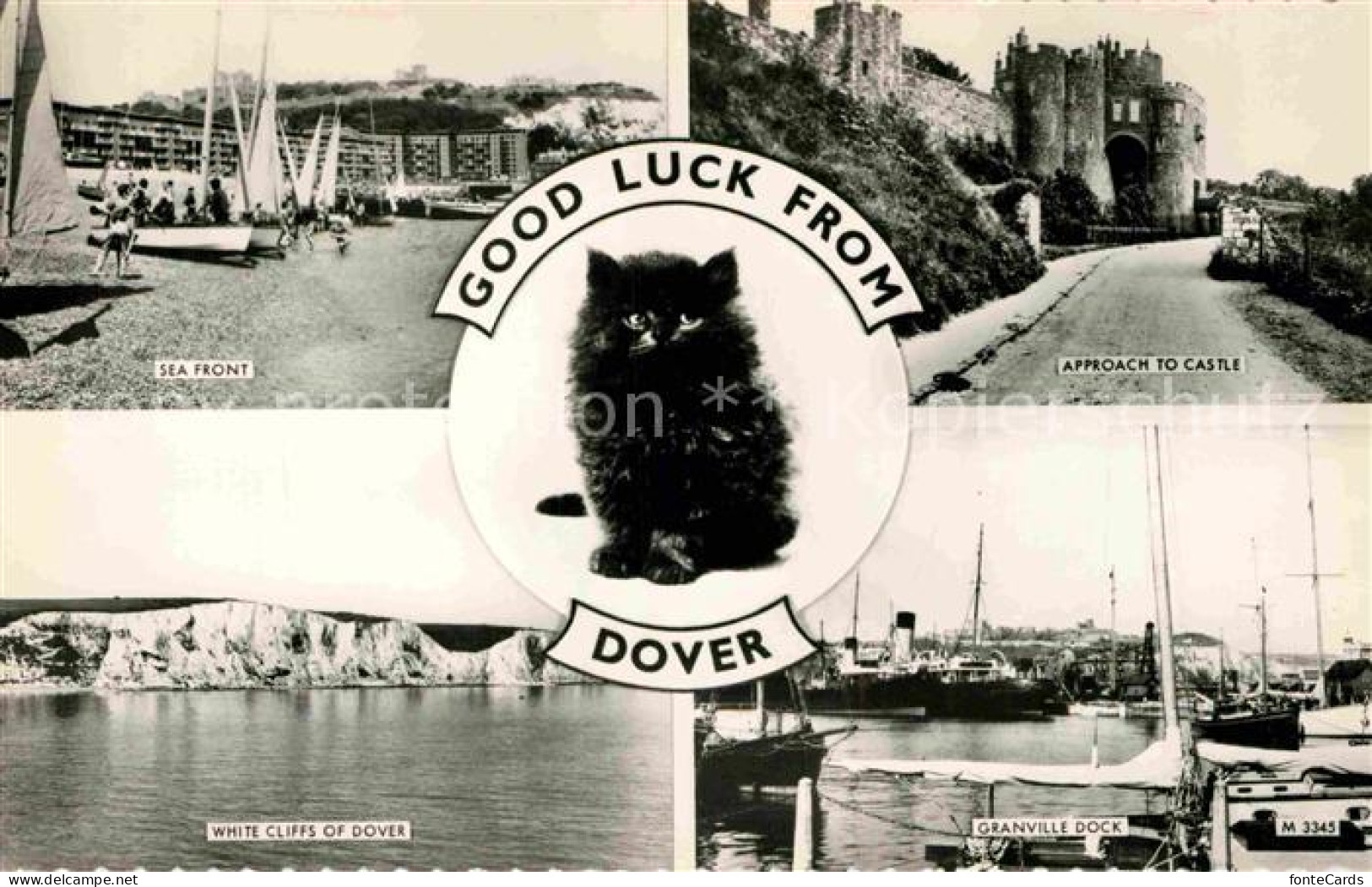 72762803 Dover Kent Sea Front Castle Granville Dock White Cliffs Black Cat Dover - Autres & Non Classés