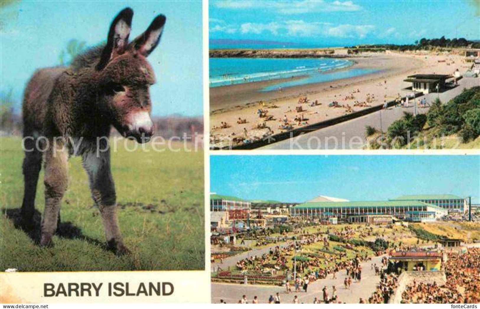 72762702 Barry The Sands Promenade Esel Barry - Autres & Non Classés