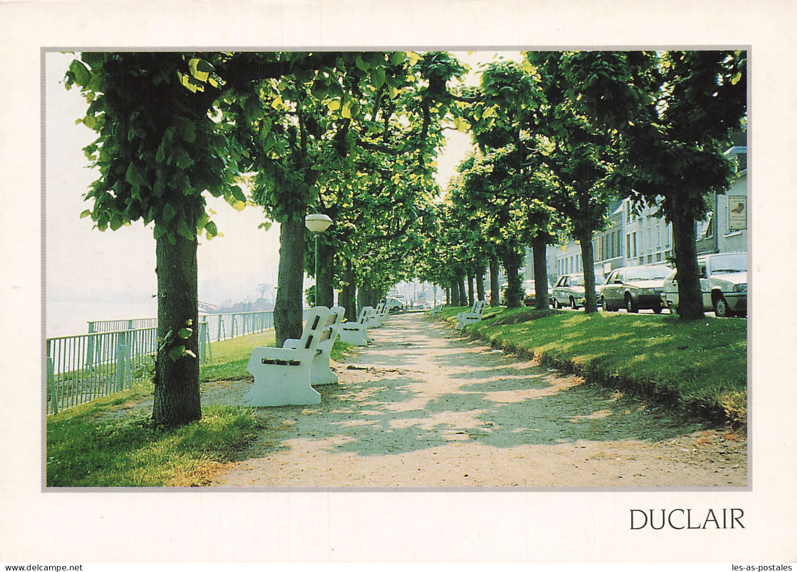 76 DUCLAIR L ALLEE DES TILLEULS - Duclair