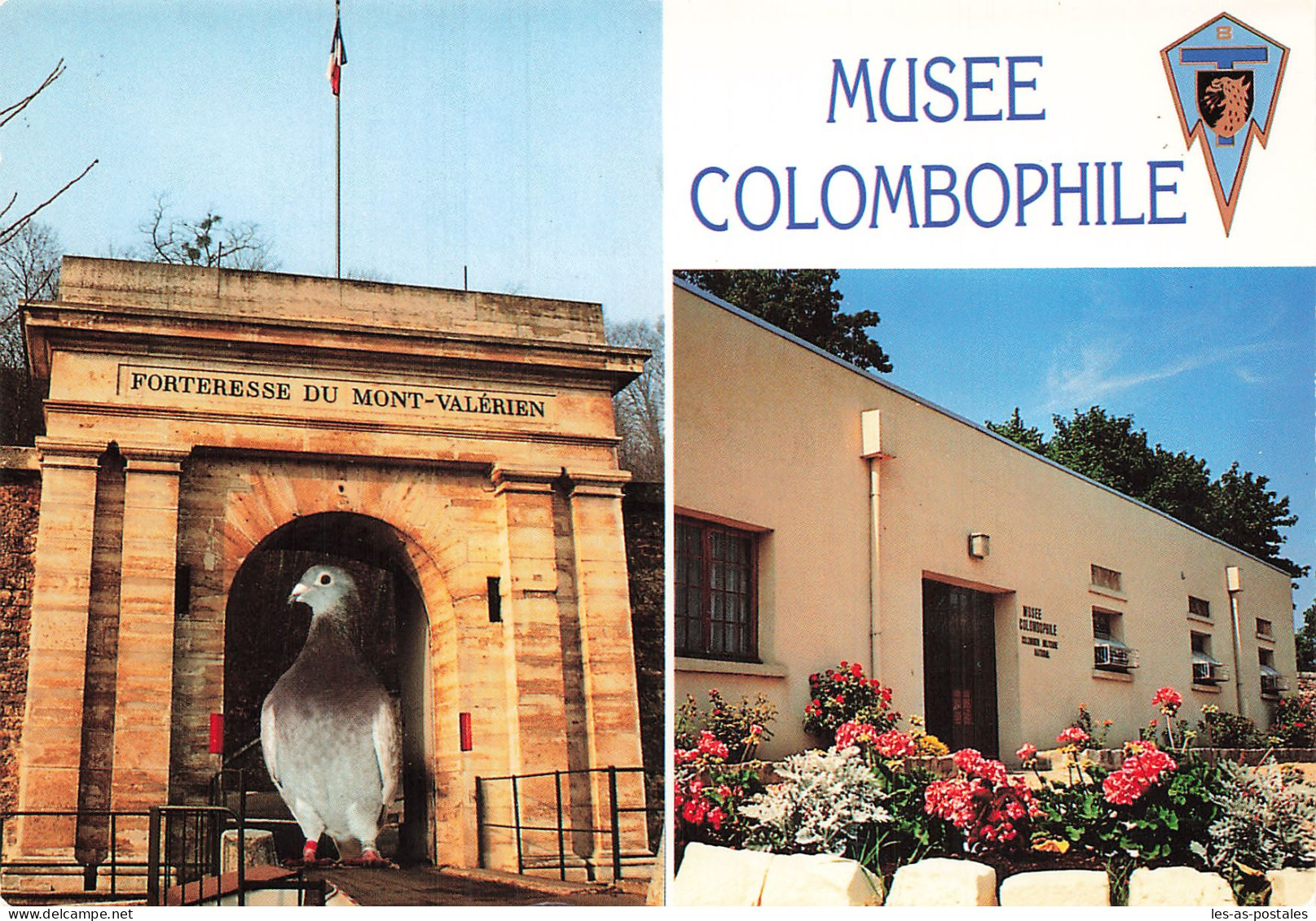 92 SURESNES MUSEE COLOMBOPHILE - Suresnes