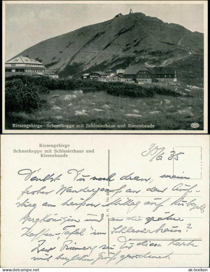 Postcard Krummhübel Karpacz Schneekoppe/Sněžka/Śnieżka 1935 - Schlesien