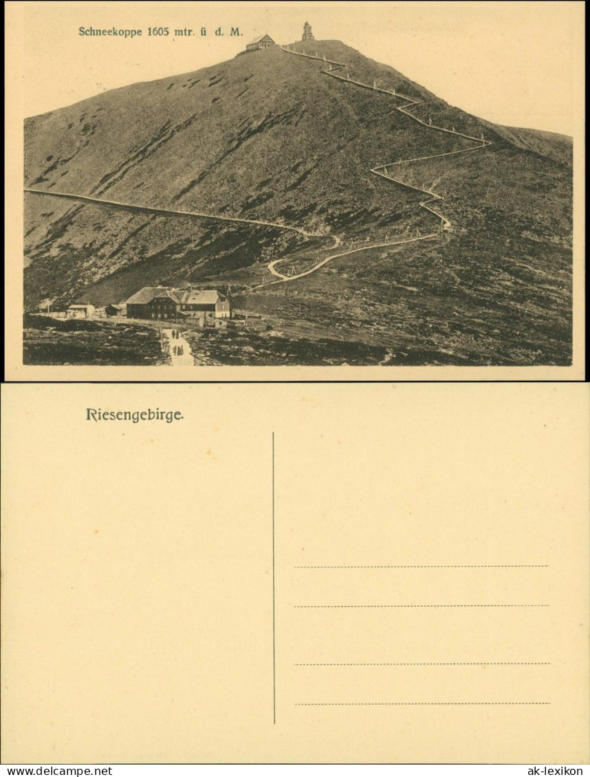 Postcard Krummhübel Karpacz Schneekoppe/Sněžka/Śnieżka 1924 - Schlesien