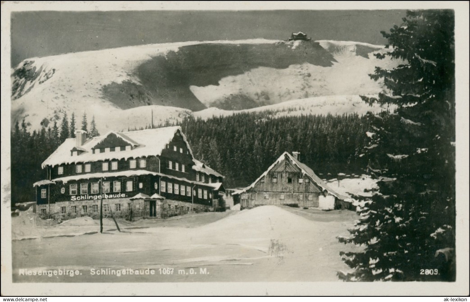Postcard Krummhübel Karpacz Schlingelbaude - Winter 1936 - Schlesien